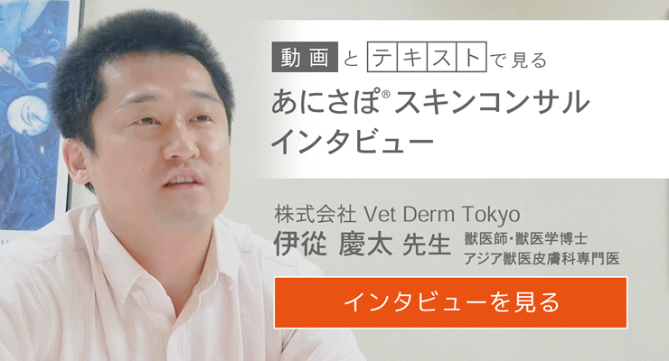 株式会社VDT伊從慶太先生インタビュー